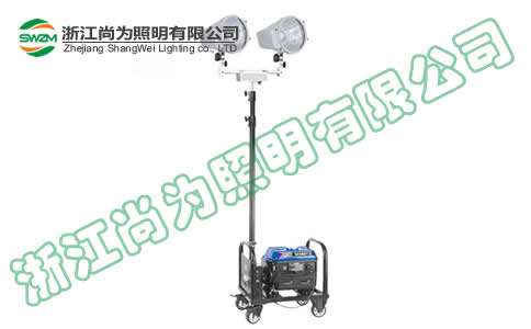 SW2920�p������������