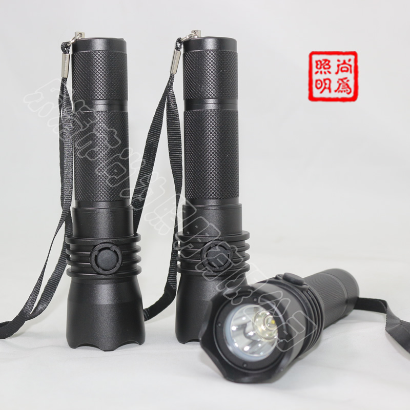 SW2101�a(ch��n)Ʒ����DƬ