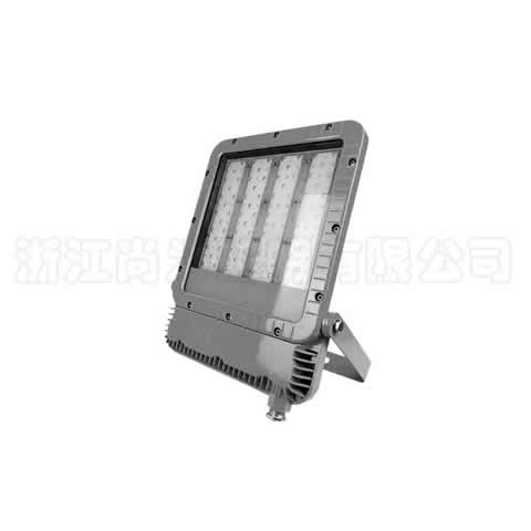 SZSW7181 LEDͶ���